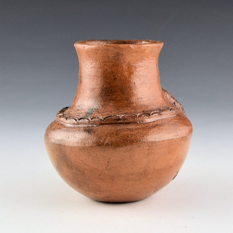 Manygoats, Larrisena - Water Jar with Horned Lizard and Rainbow Band - Image 3