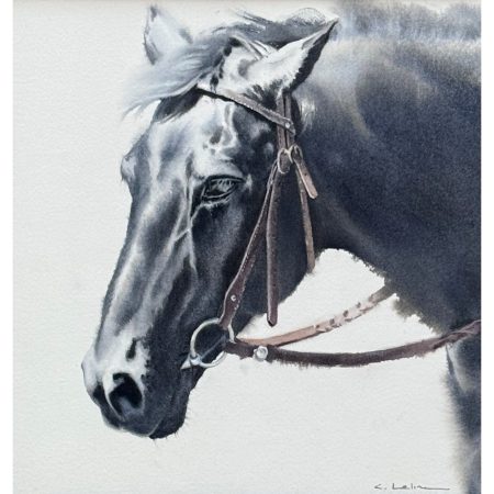 Alternative view of Hatch, Caitlin Leline - "A Guiding Light" Watercolor