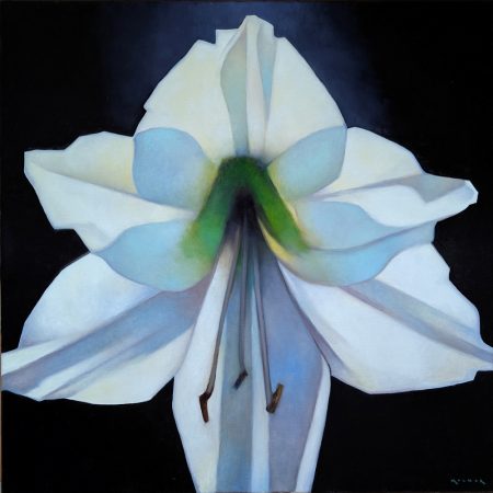 Alternative view of Molnar, Marcia - "The White Amaryllis" Oil on Linen (30 x 30)