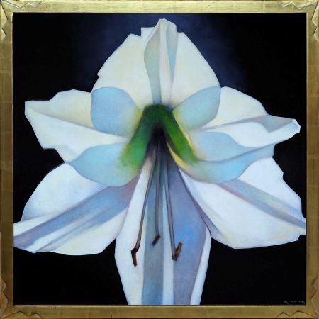 Molnar, Marcia - "The White Amaryllis" Oil on Linen (30 x 30)