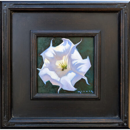 Molnar, Marcia - "Morning Datura" Oil on Board (6 x 6)