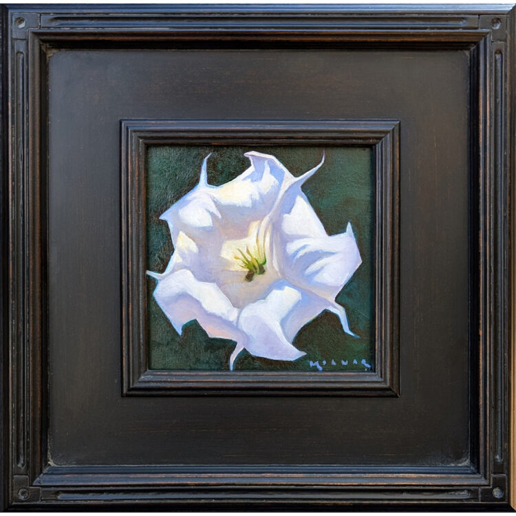 Molnar, Marcia - "Morning Datura" Oil on Board (6 x 6)