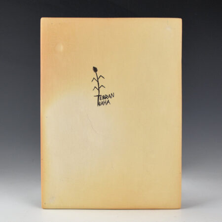 Alternative view of Naha, Terran - Tile with Tewa Turtle and Tadpoles