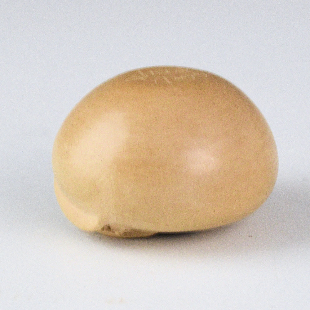 Nampeyo, Iris - Mini Seedpot with Ear of Corn (1990s) - Image 5