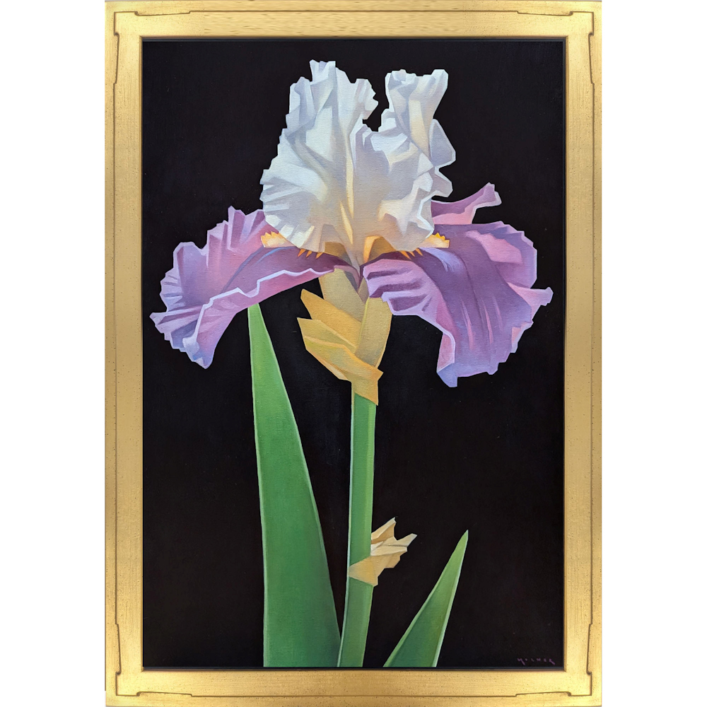 Molnar, Marcia - "A Little Bit of Magic" Oil on Linen (36 x 24)