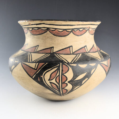 Alternative view of Once Known - San Ildefonso Polychrome Water Jar with Plant Designs (1915-1920)