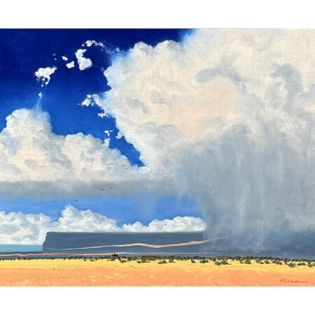 Alternative view of Florea, Andrew - "Beneath Storm Tossed Skies", Oil on Linen (16 x 20)